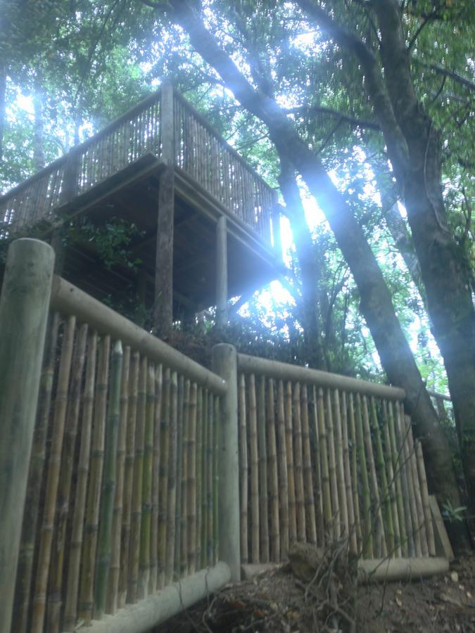 Cabanas Bosques De Loncotraro Villarrica Exterior foto