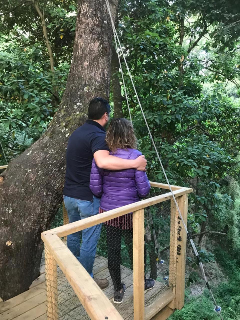Cabanas Bosques De Loncotraro Villarrica Exterior foto