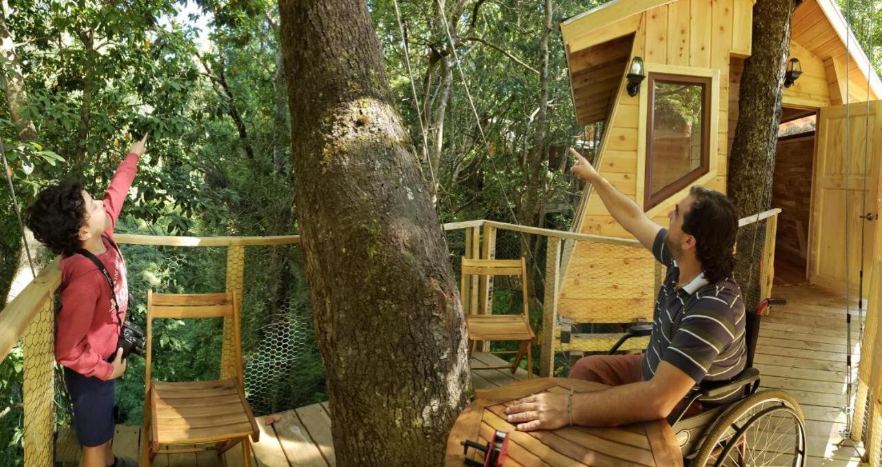 Cabanas Bosques De Loncotraro Villarrica Exterior foto