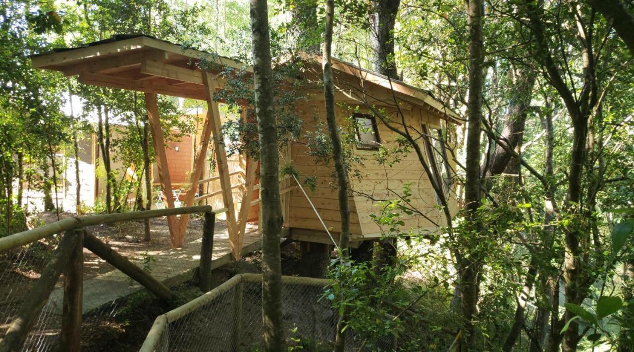 Cabanas Bosques De Loncotraro Villarrica Exterior foto