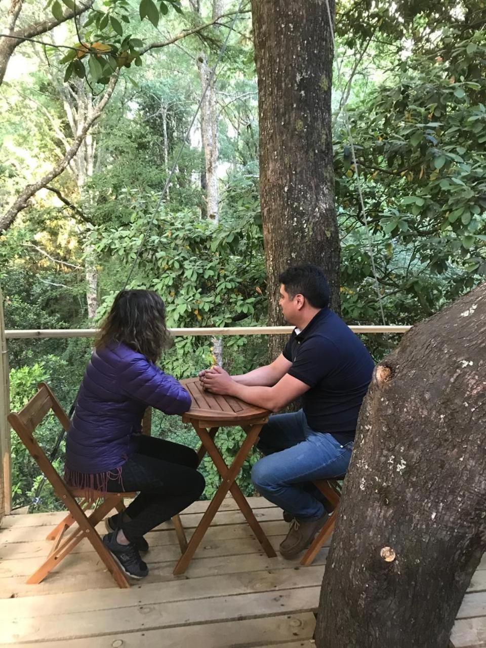 Cabanas Bosques De Loncotraro Villarrica Exterior foto