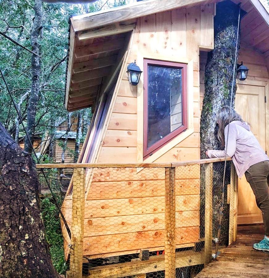 Cabanas Bosques De Loncotraro Villarrica Exterior foto