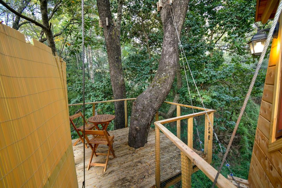 Cabanas Bosques De Loncotraro Villarrica Exterior foto