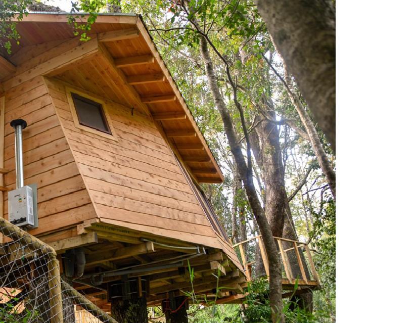 Cabanas Bosques De Loncotraro Villarrica Exterior foto
