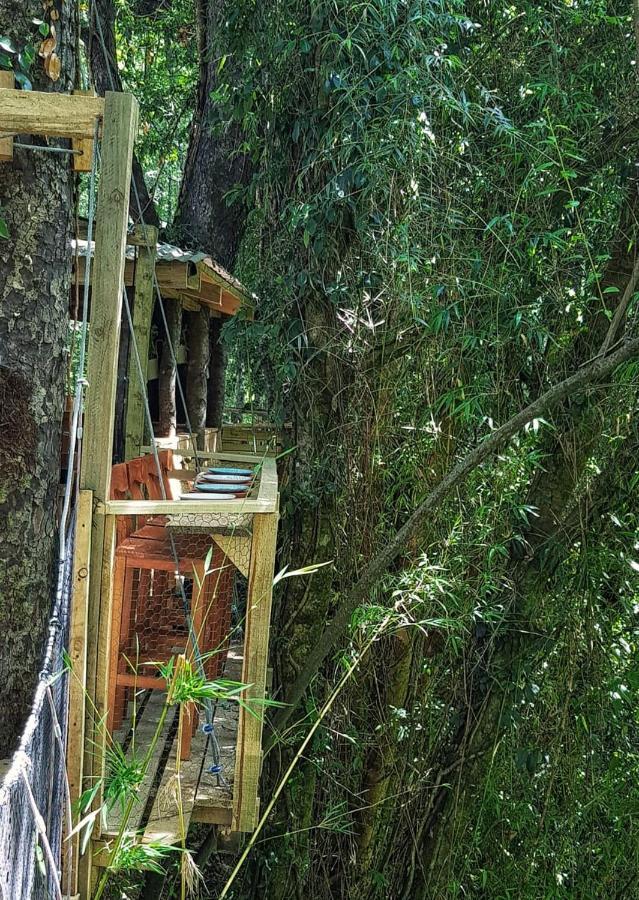 Cabanas Bosques De Loncotraro Villarrica Exterior foto
