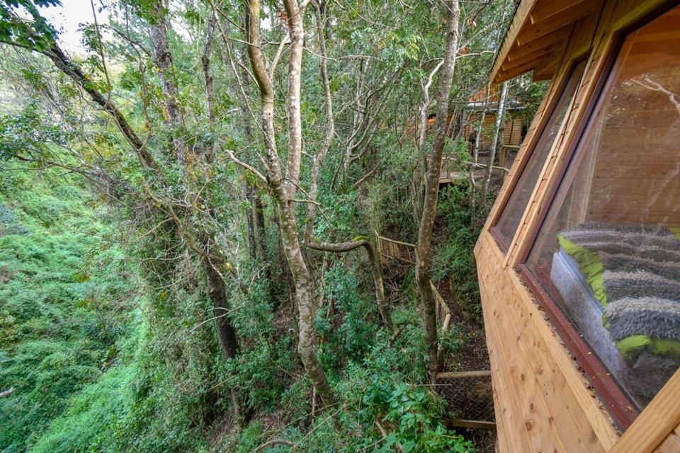 Cabanas Bosques De Loncotraro Villarrica Exterior foto