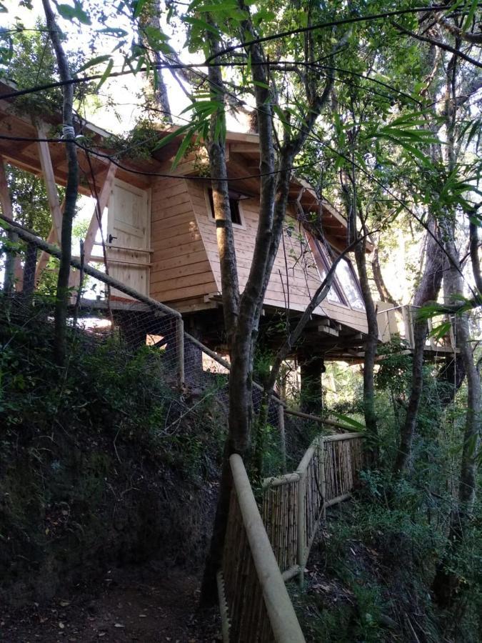 Cabanas Bosques De Loncotraro Villarrica Exterior foto